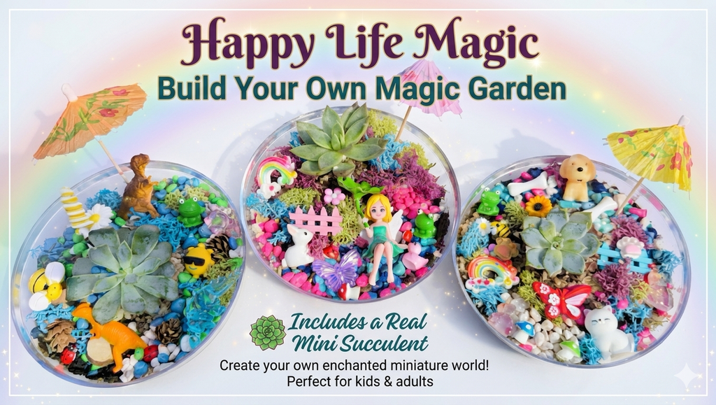 Build your own Magic Garden -Real Succulent Mini Terrarium Garden Kit