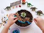 Build your own Magic Garden -Real Succulent Mini Terrarium Garden Kit