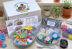 Build your own Magic Garden -Real Succulent Mini Terrarium Garden Kit