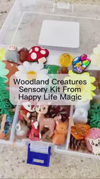 " Woodland Animals" Mid Play Dough Kit
