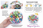 Build your own Magic Garden -Real Succulent Mini Terrarium Garden Kit