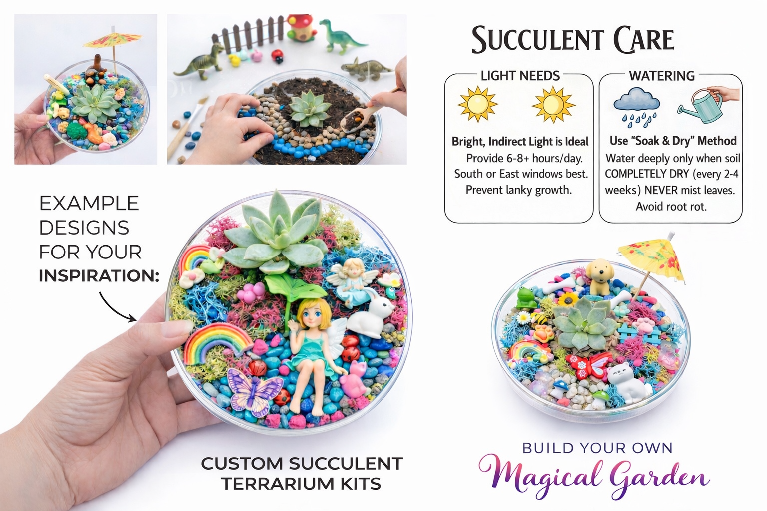 Build your own Magic Garden -Real Succulent Mini Terrarium Garden Kit